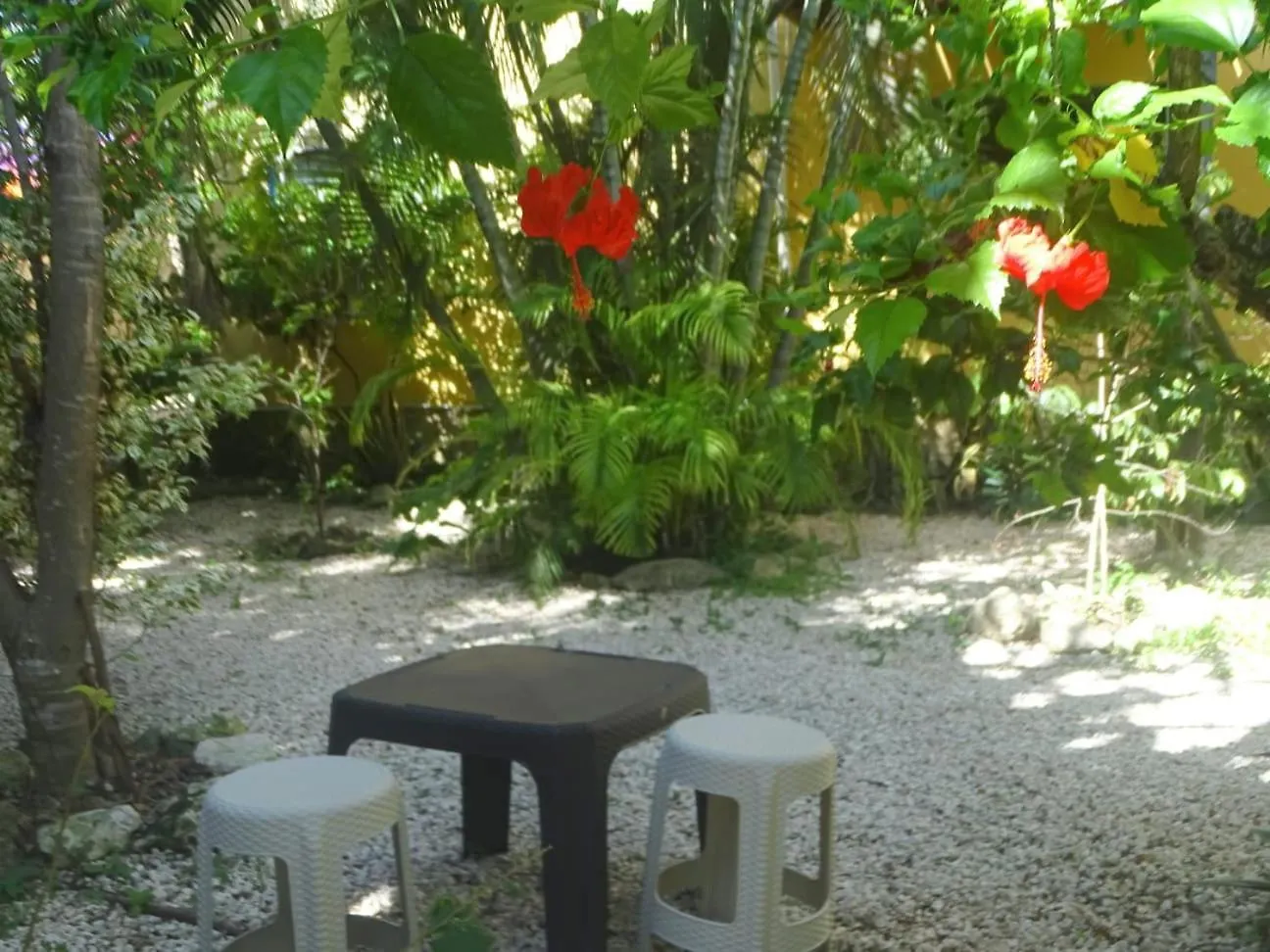 Casa Abanico Tulum Hotel